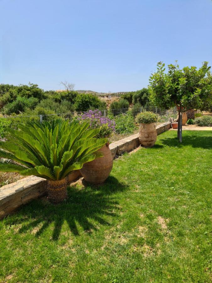 Olivar Suites Palekastro Exterior photo